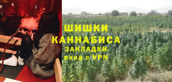 шишки Богданович