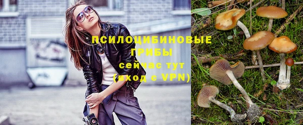 метадон Богородск