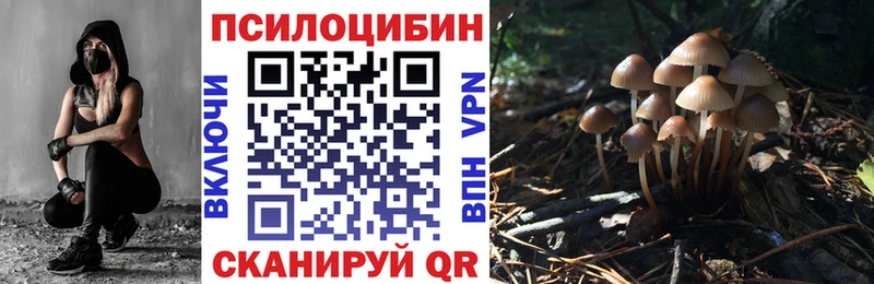 Псилоцибиновые грибы MAGIC MUSHROOMS  Володарск 