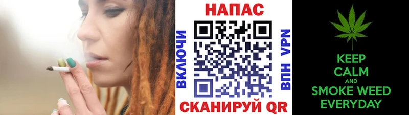 Бошки марихуана план  где можно купить   Володарск 